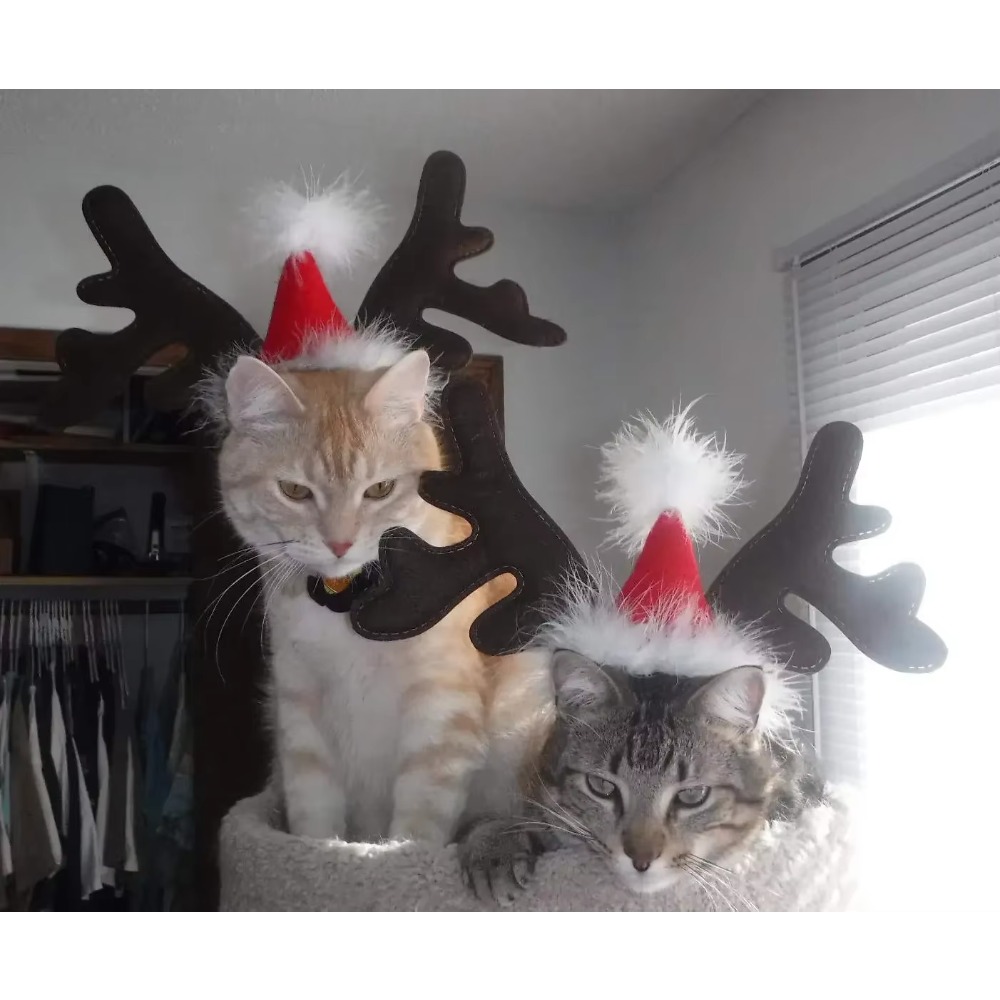 Evcil Hayvanlar İçin Noel Tema - Reindeer Antlers Headband incelemesi ve fiyatı
